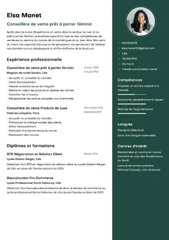 Modèle de CV Pollux
